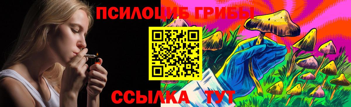 Галлюциногенные грибы прущие грибы  Вход с VPN  Вичуга 