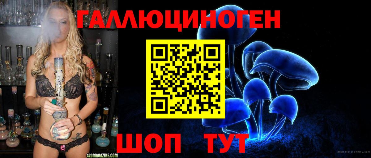 Галлюциногенные грибы GOLDEN TEACHER Вичуга